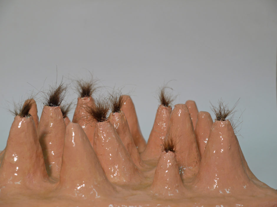 Martin Schuster – Object – Ziepfel